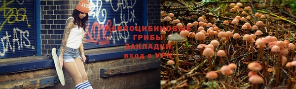 спайс Нея