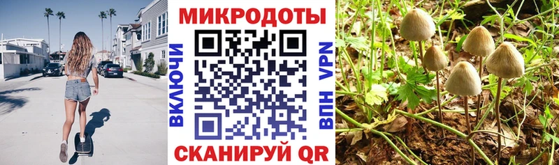 где можно купить наркотик Уяр Галлюциногенные грибы мицелий