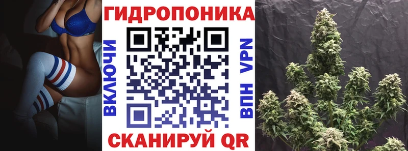 Конопля планчик  Уяр 